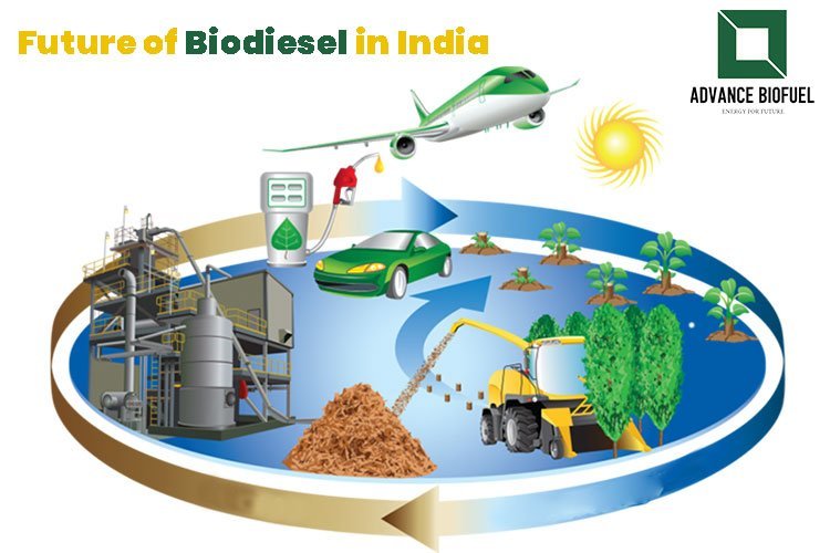 Future if biodesel in india