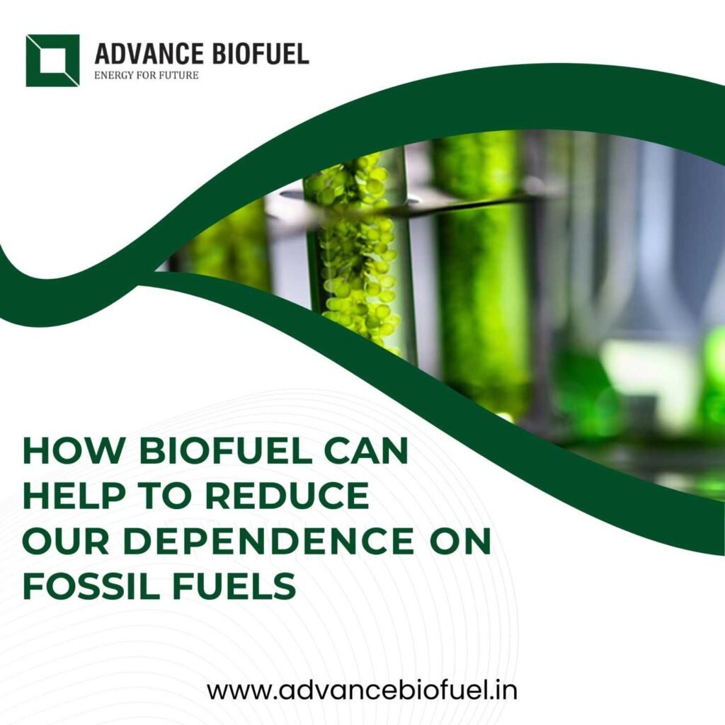 How-Biofuel-Can-Help-Reduce-Dependence-on-Fossil-Fuels