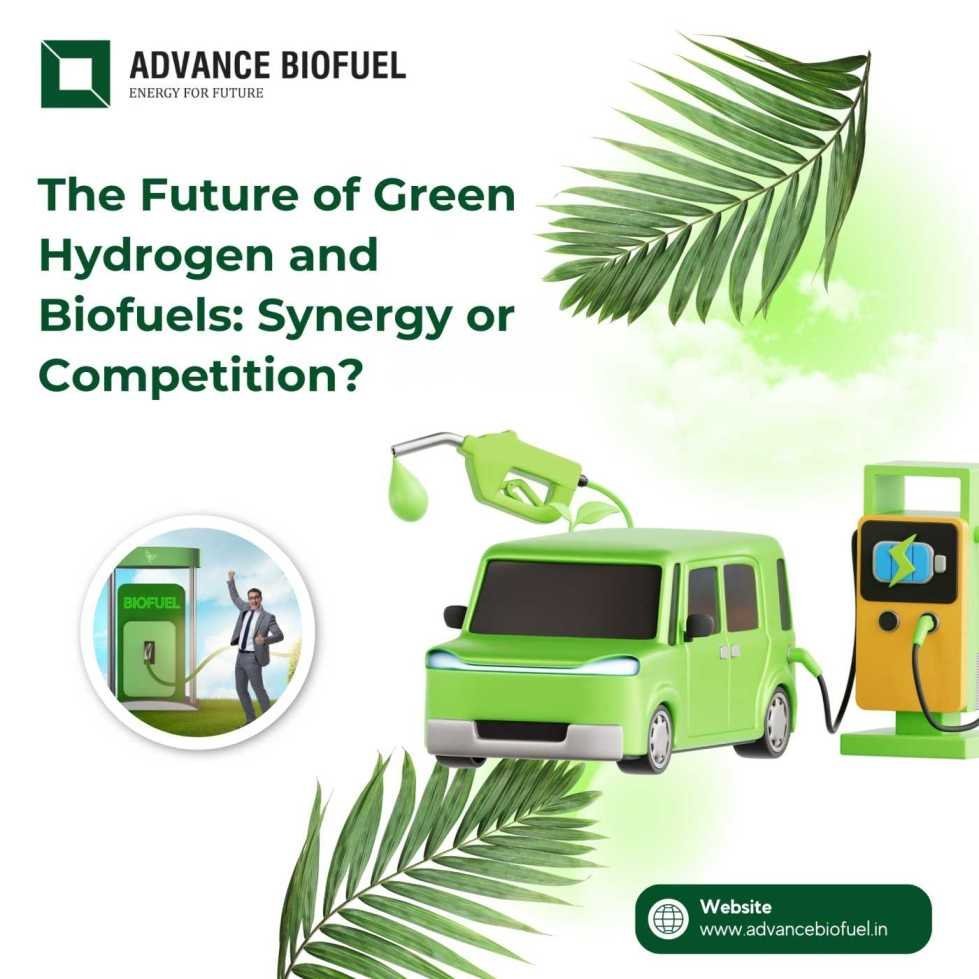 The-Future-of-Green-Hydrogen-and-Biofuels